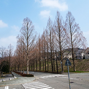 ����s���z�u�̃��^�Z�R�C�A